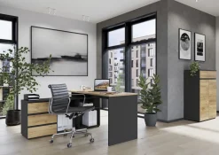 Aktenschrank Lissabon Eiche