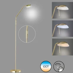 Fischer & Honsel 1-flg LED Stehleuchte Pool-TW messingfarben
