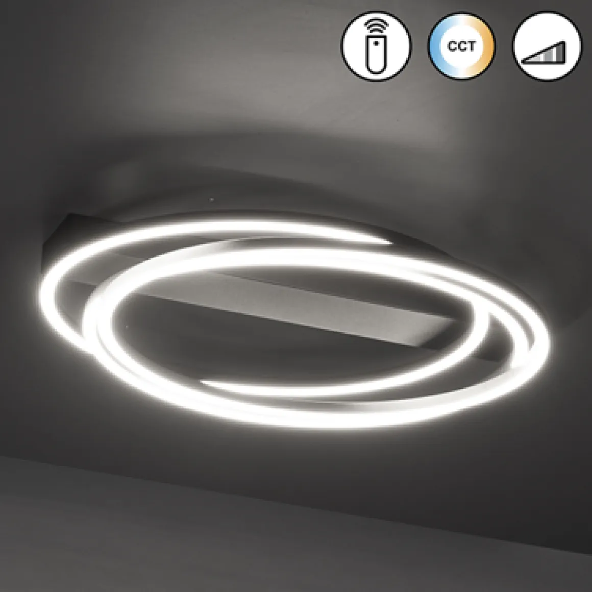 Fischer & Honsel LED Deckenlampe Kiku Schwarz