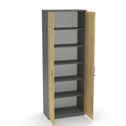 FlĂŒgelschrank E10 Natural Hickory Grau