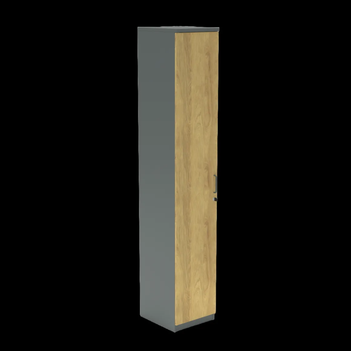 Flügeltürenschrank E10 Natural Hickory Grau