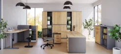 Flügeltürenschrank E10 Natural Hickory Grau