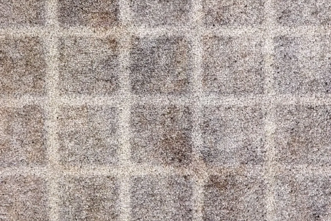 Fußmatte SW Bellevue D.006 Hellgrau 50 x 70 cm