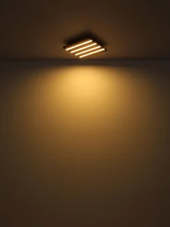 Globo 1-flg LED Deckenlampe Hayden
