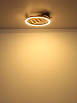 Globo 1-flg LED Deckenlampe Tisha