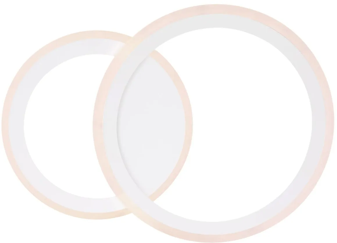 Globo 2-flg LED Deckenleuchte Fenna