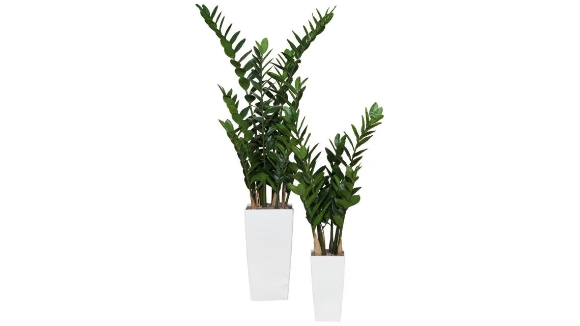 Kunstplanze Zamifolia