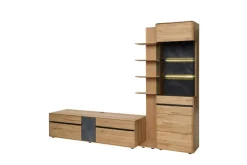 Mondo Wohnwand Danora Plus