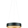 Musterring LED Pendellampe Loop