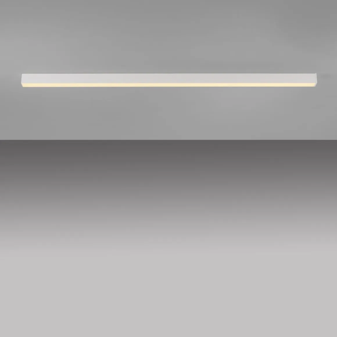Neuhaus Pure LED Deckenleuchte Lines 100 cm