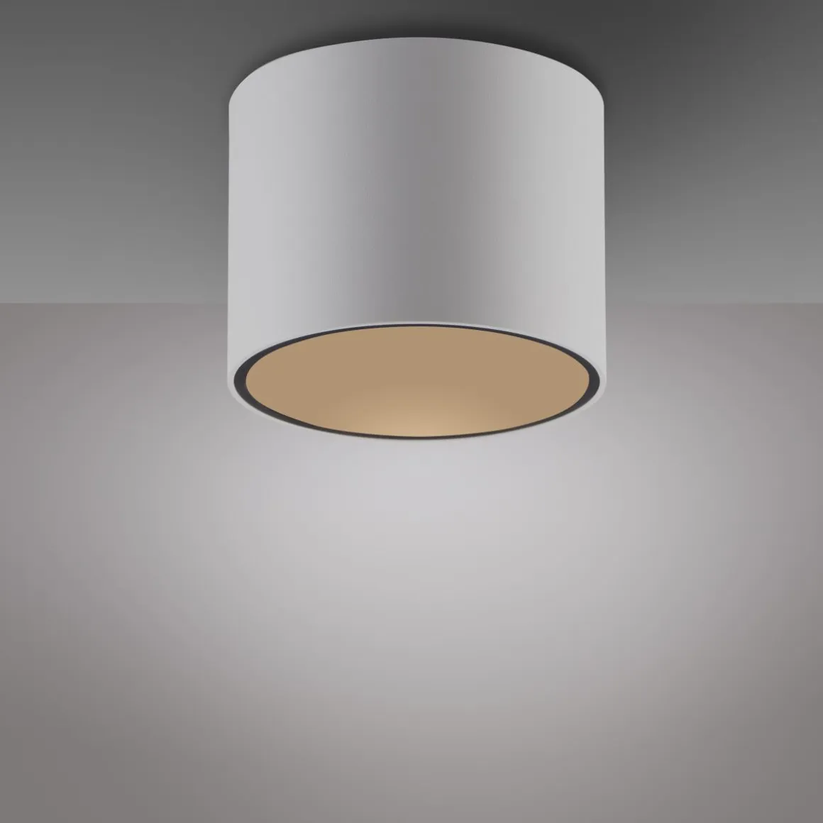 Neuhaus Pure LED Deckenleuchte Point
