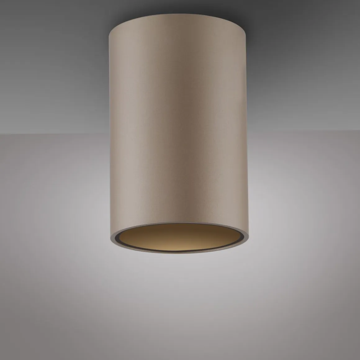 Neuhaus Pure LED Deckenleuchte Point