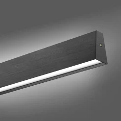 Neuhaus Pure Pendelleuchte E-Motion