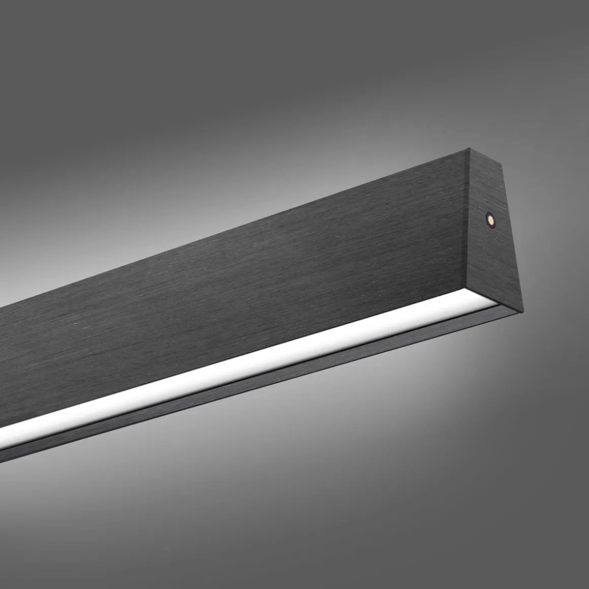 Neuhaus Pure Pendelleuchte E-Motion
