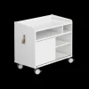 Paidi Rollcaddy Teenio