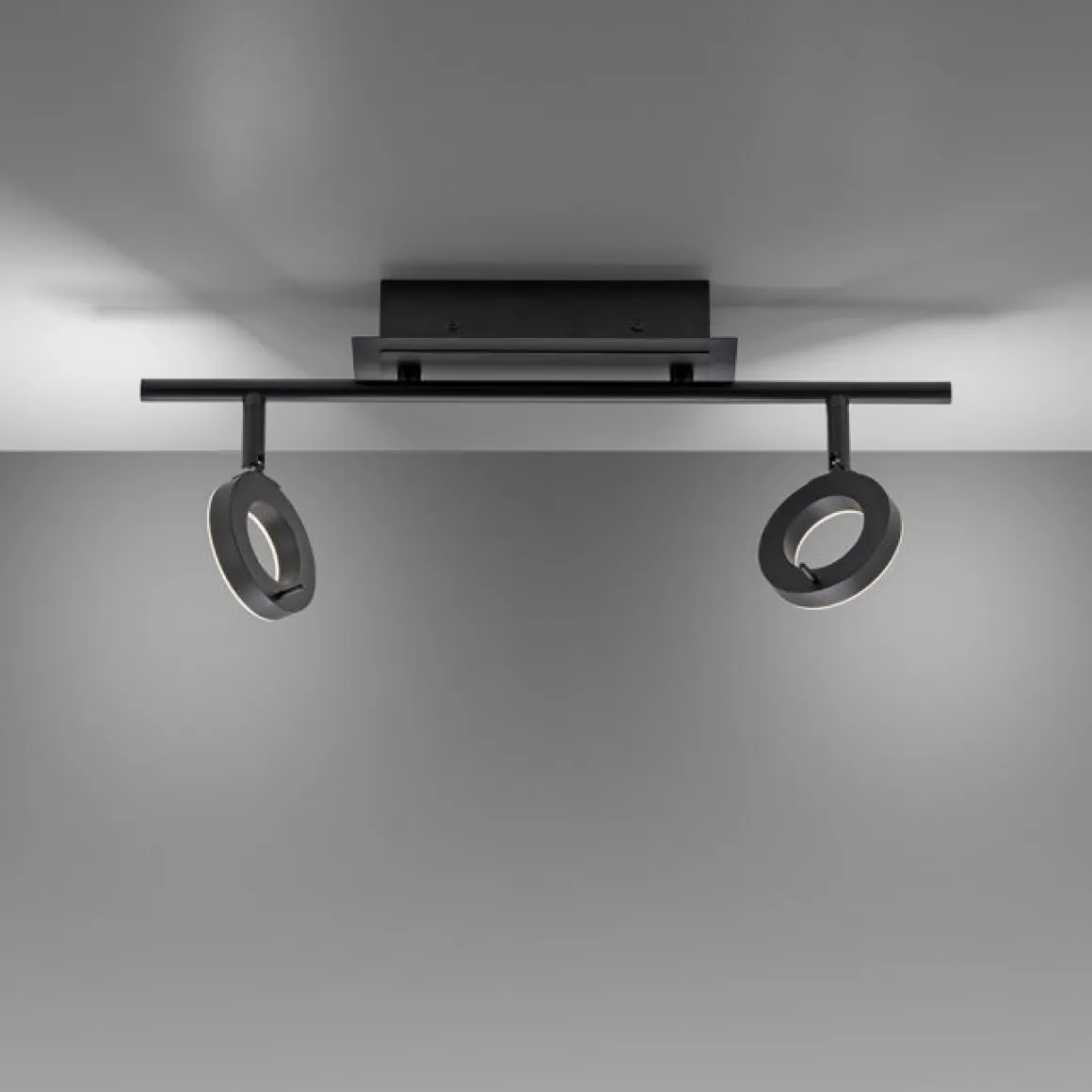 Paul Neuhaus 2-flg LED Deckenleuchte Sileda Anthrazit