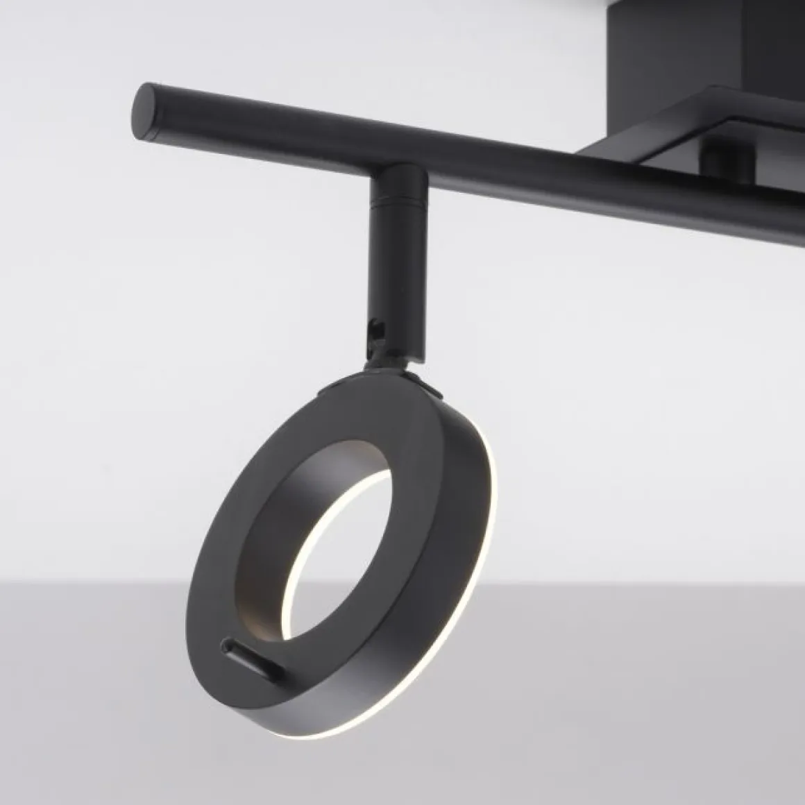 Paul Neuhaus 2-flg LED Deckenleuchte Sileda Anthrazit