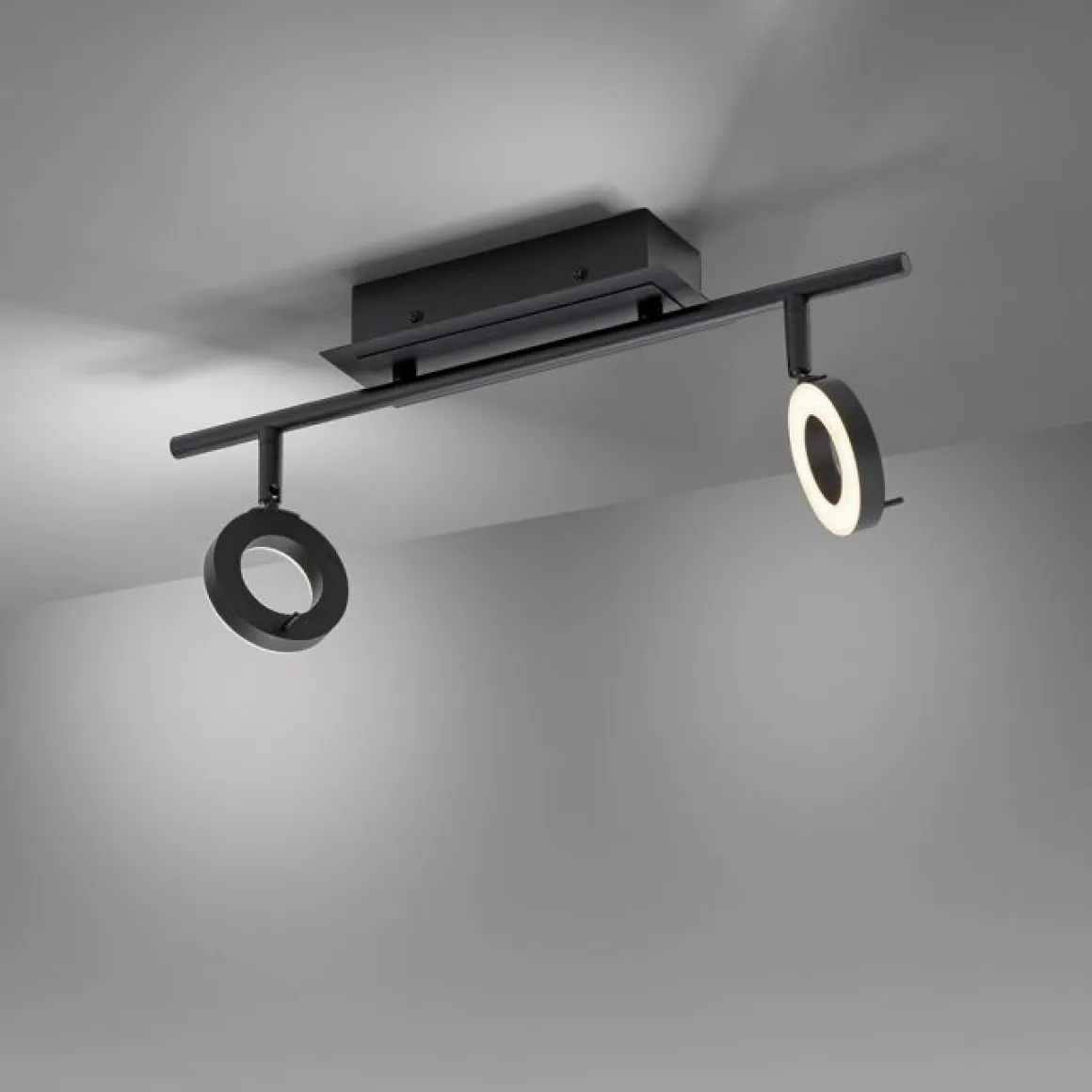 Paul Neuhaus 2-flg LED Deckenleuchte Sileda Anthrazit