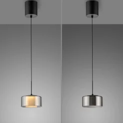 Paul Neuhaus 1-flg Pendellampe Rika Schwarz