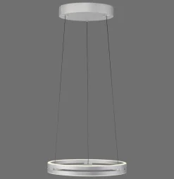Paul Neuhaus LED Pendellampe E-Loop