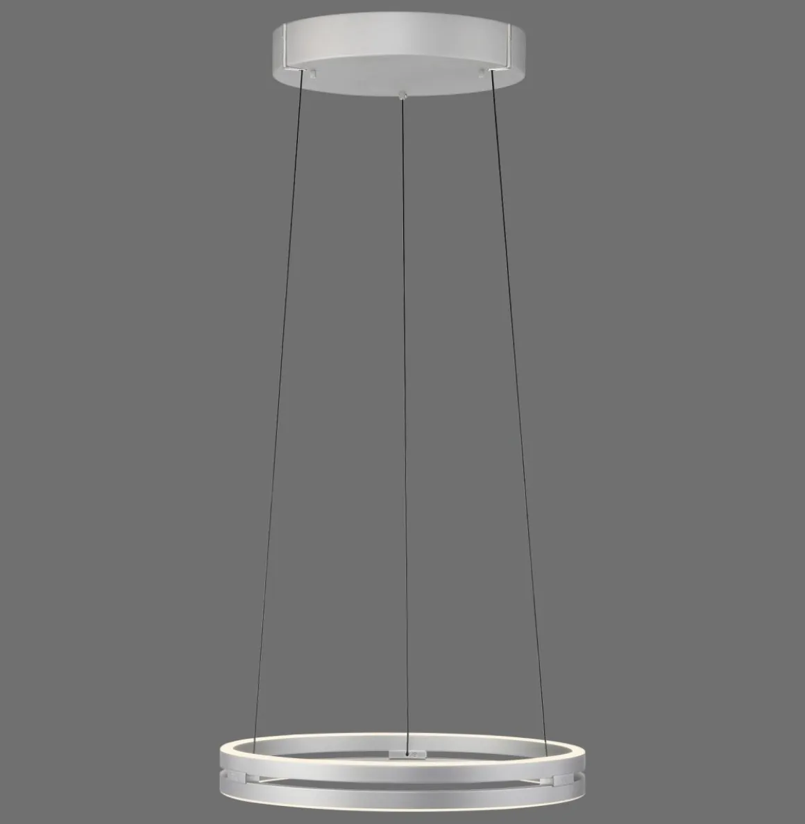 Paul Neuhaus LED Pendellampe E-Loop