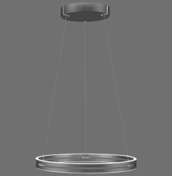 Paul Neuhaus LED Pendelleuchte E-Loop