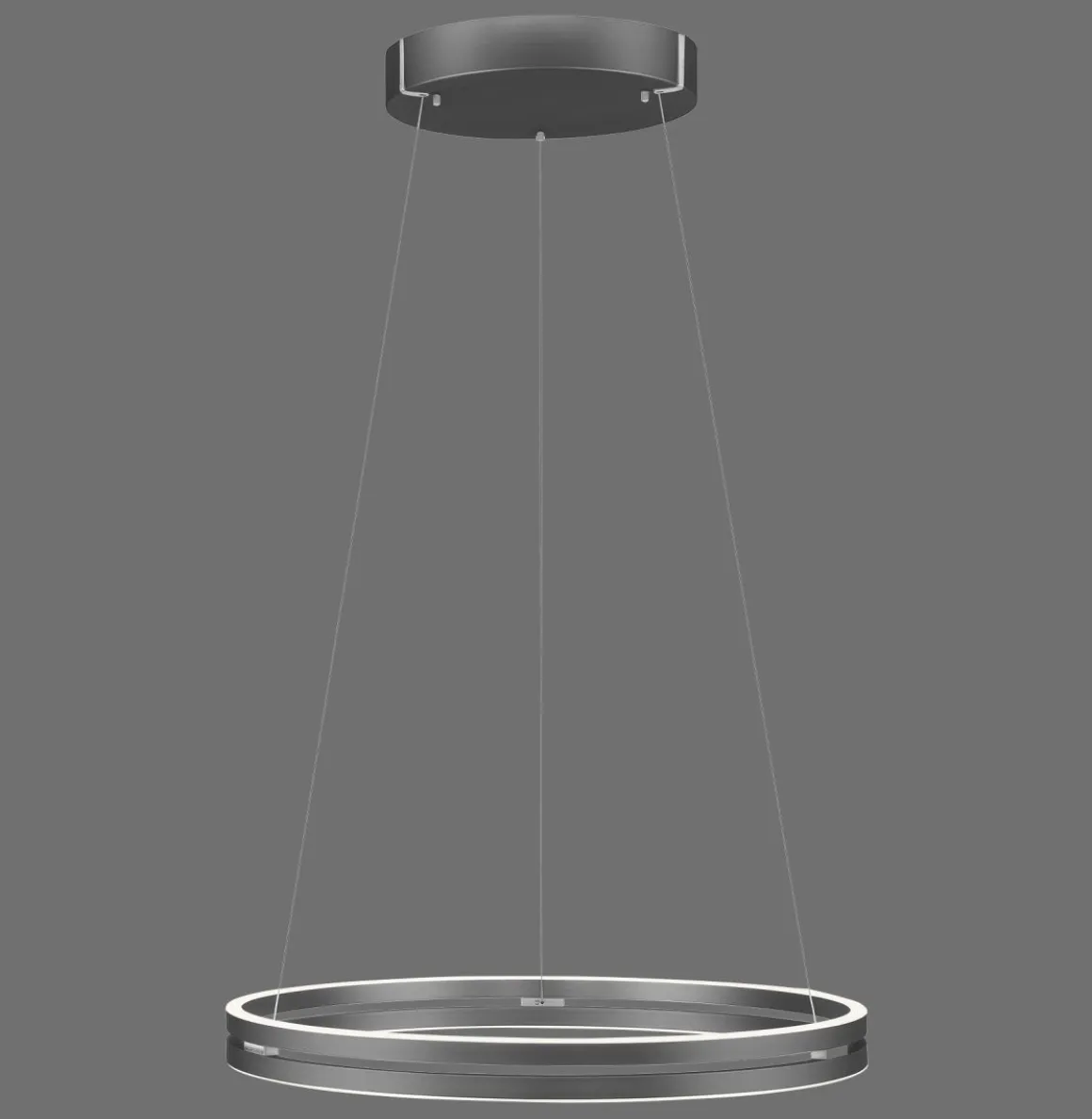 Paul Neuhaus LED Pendelleuchte E-Loop