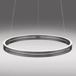 Paul Neuhaus LED Pendelleuchte E-Loop