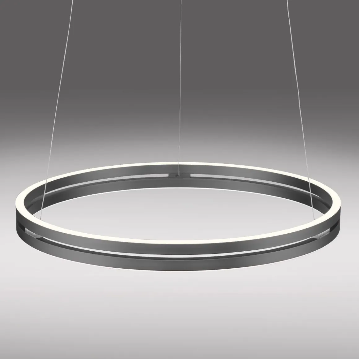 Paul Neuhaus LED Pendelleuchte E-Loop