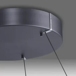 Paul Neuhaus LED Pendelleuchte E-Loop