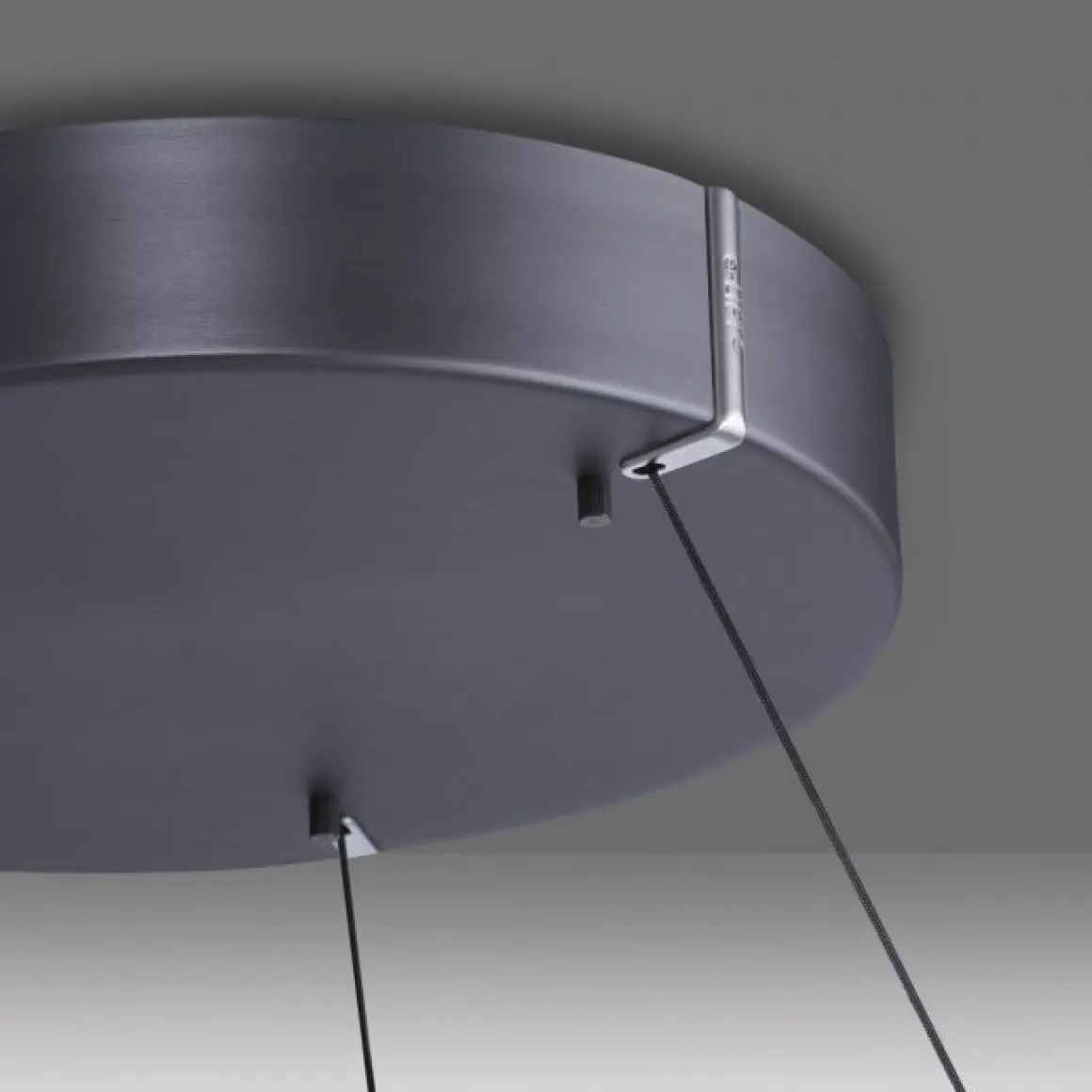Paul Neuhaus LED Pendelleuchte E-Loop