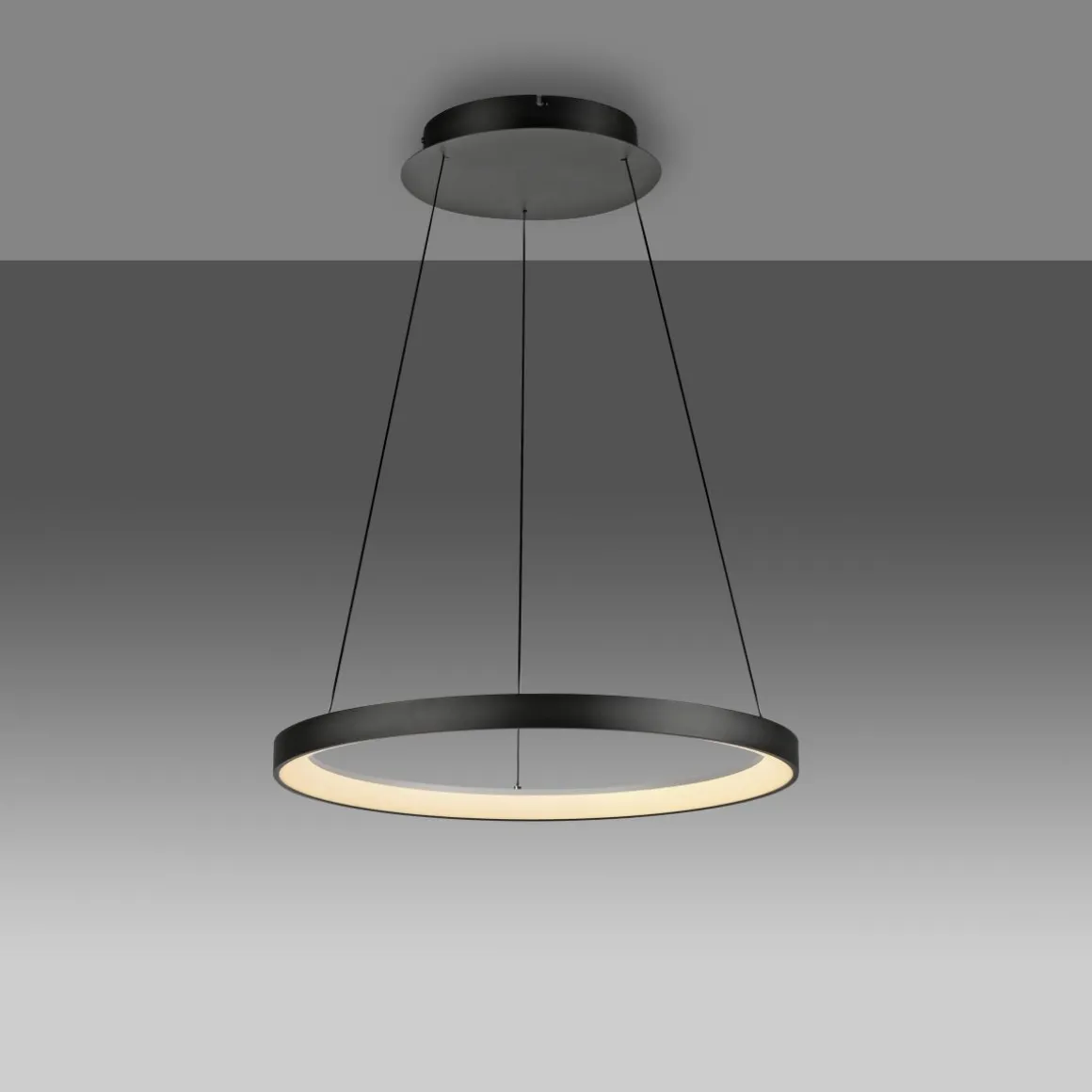 Paul Neuhaus Pendellampe Hoop Schwarz