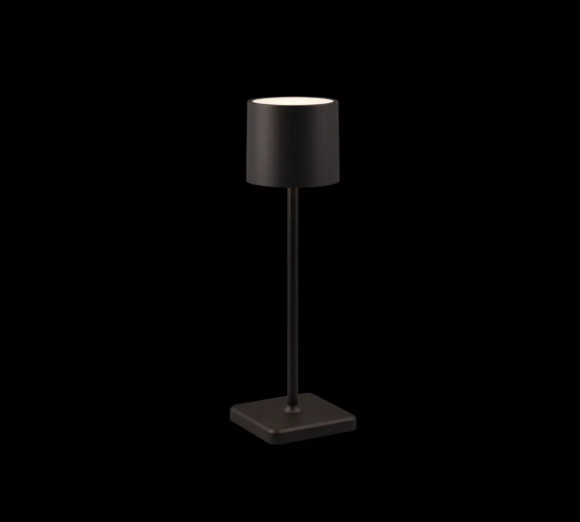 Reality Leuchten Akku Tischlampe Fernandez Schwarz