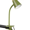 Reality Leuchten Klemmlampe Pongo Grün