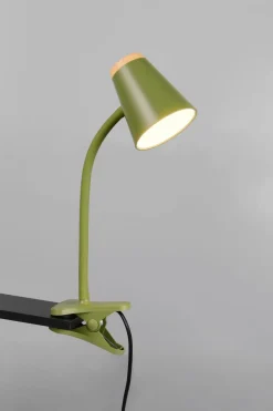 Reality Leuchten Klemmlampe Pongo Grün