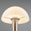 Reality Leuchten LED Tischlampe Canaria Nickel
