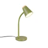 Reality Leuchten Tischlampe Pongo Grün