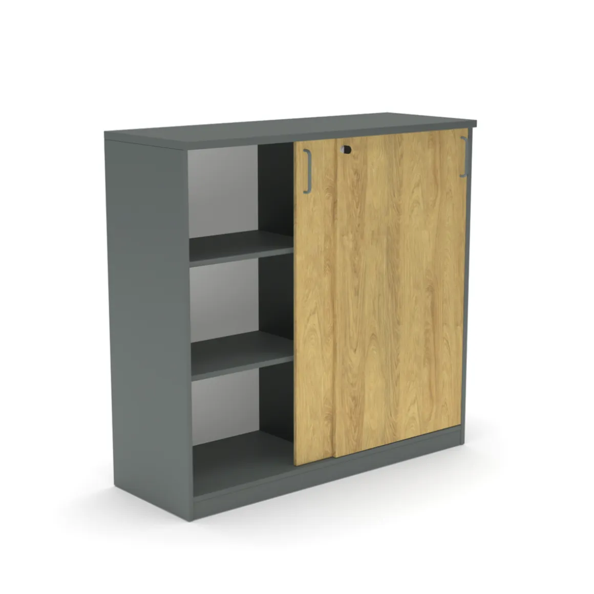 Schiebetürenschrank E10 Natural Hickory Grau
