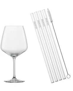 Schott Zwiesel Cocktailglas-Set After Work mit Trinkhalmen und Bürste