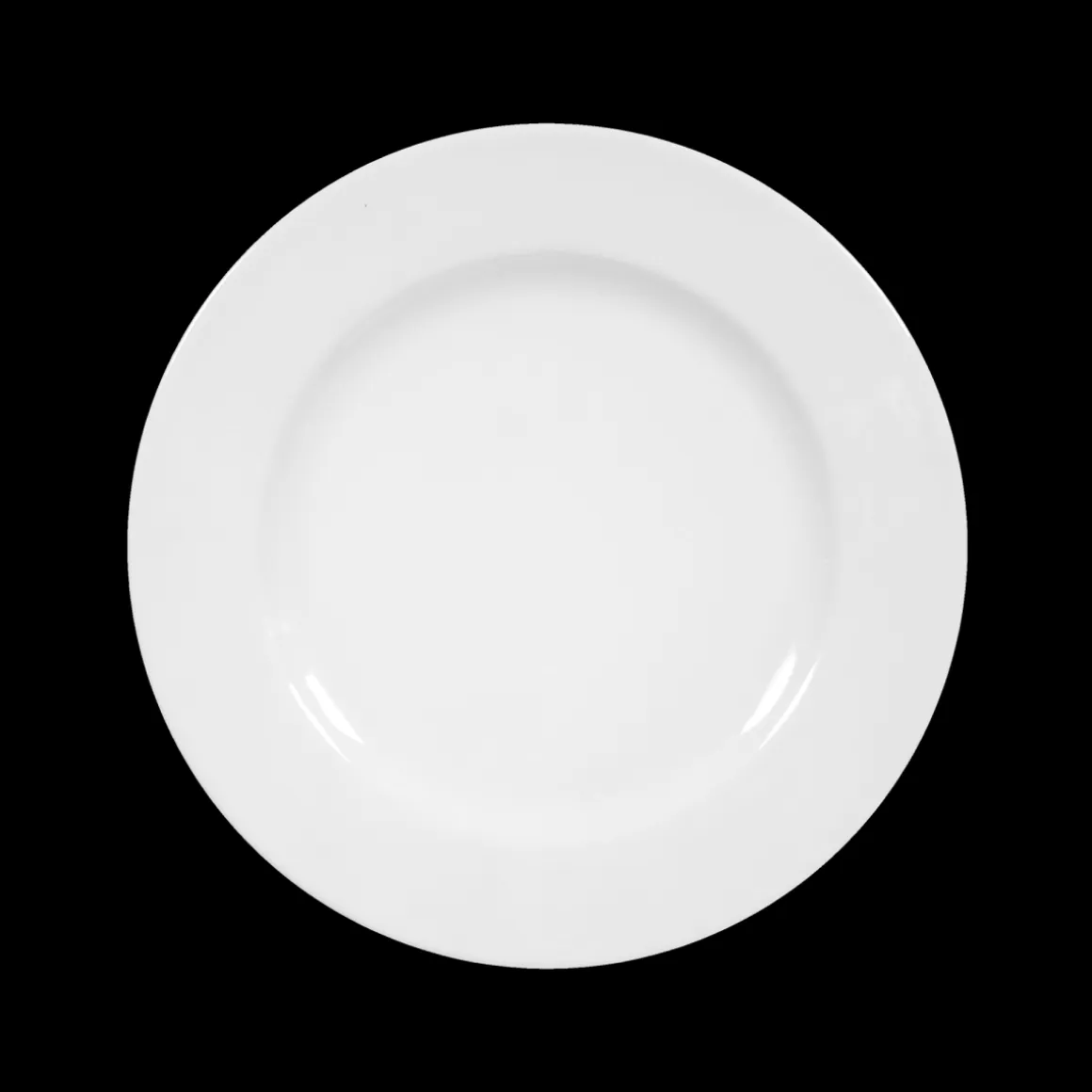 Seltmann Weiden Speiseteller Rondo 25 cm
