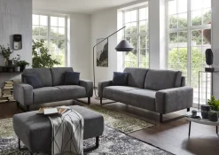 2-Sitzer Sofa Dana Grau