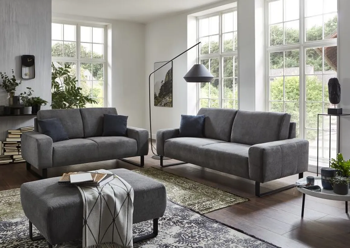 2-Sitzer Sofa Dana Grau