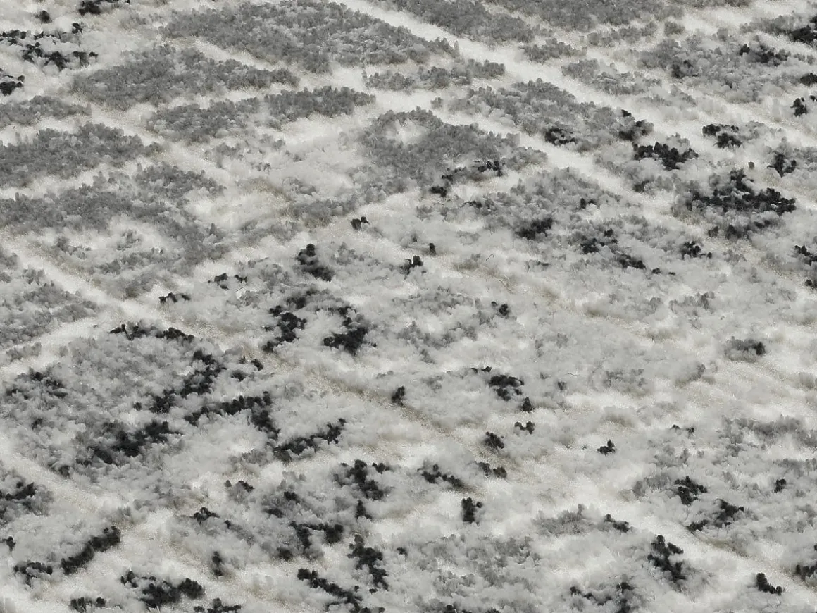 Webteppich Miray Creme-Grau 80 x 150 cm